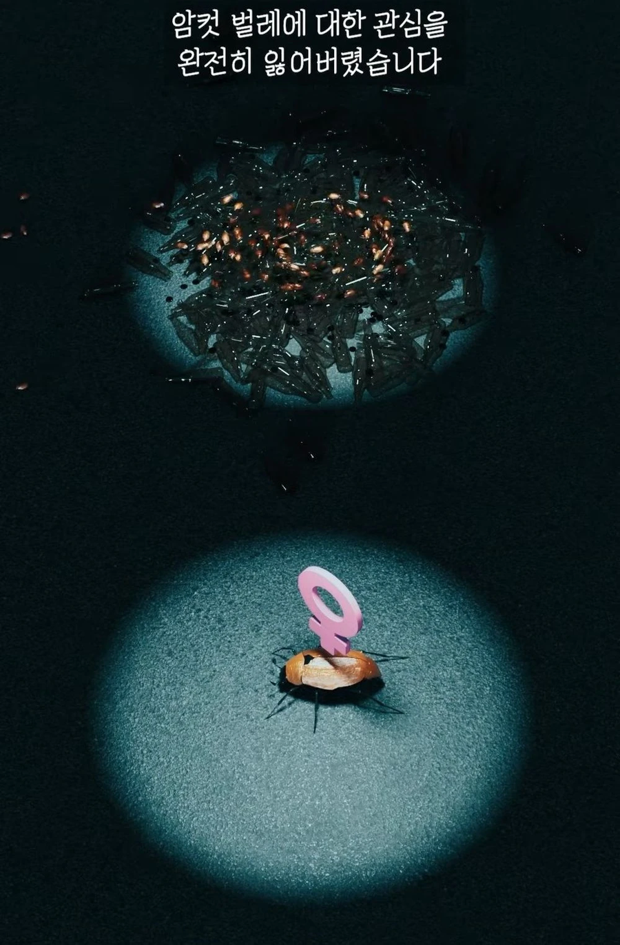 거대 보석 딱정벌레가 급감했던 이유_15.webp