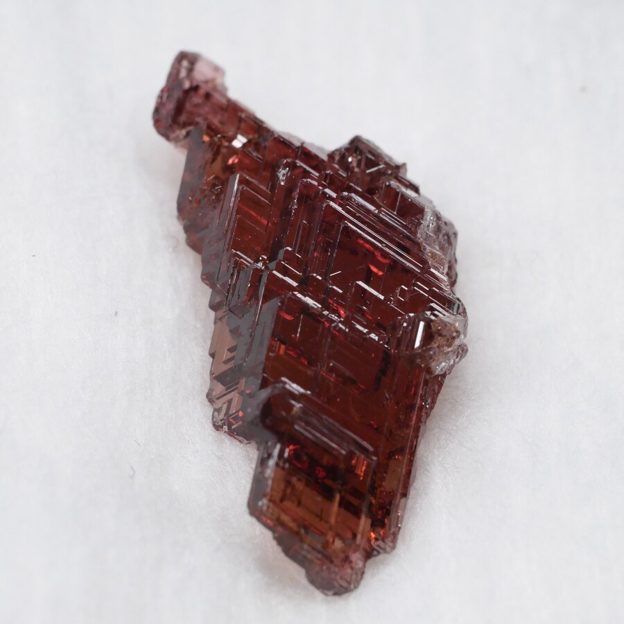 촬영법이 바뀐 돌덕.jpg_2.jpg