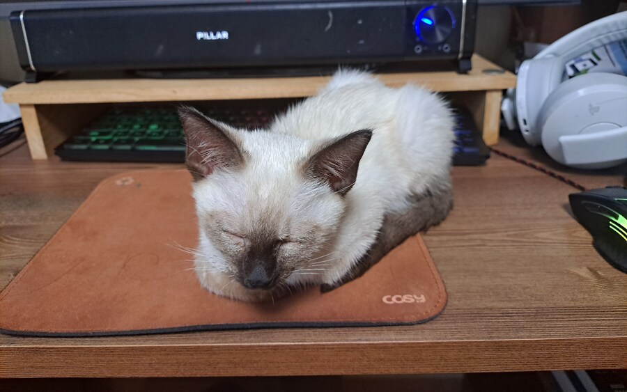 블랙세이버좌 저격하는 글 같은 것 볼 시간있으면 그냥_3.jpg