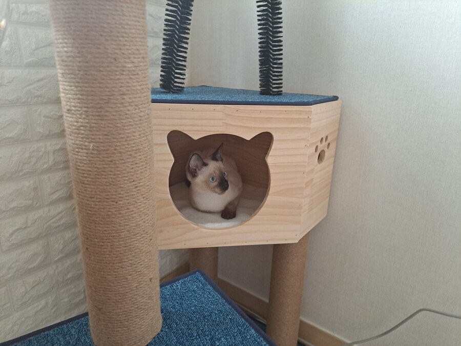 블랙세이버좌 저격하는 글 같은 것 볼 시간있으면 그냥_5.jpg