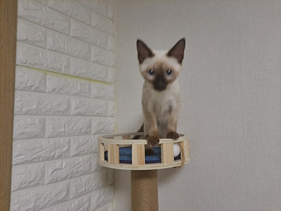 블랙세이버좌 저격하는 글 같은 것 볼 시간있으면 그냥_6.jpg