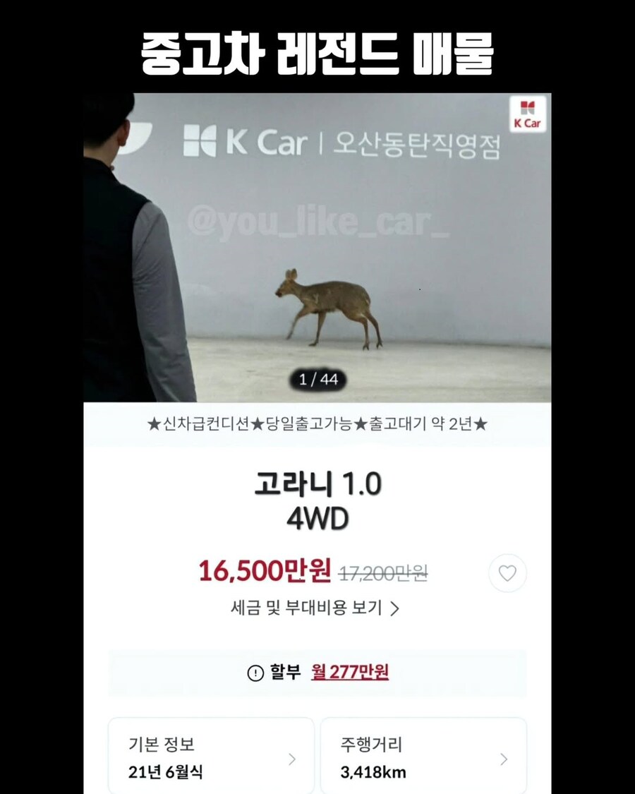 동탄 당일 출고 가능 매물_1.png