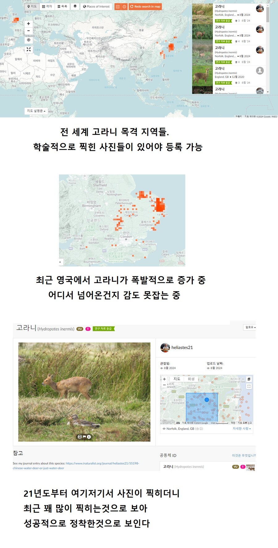 마참내 한국과 같은 고통을 겪게 되는 영국_1.jpg