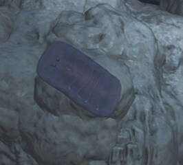 몬헌)[용유에 대한 의존으로 비참하게 몰락한 고대인]이 아마도 아닐꺼임._1.jpg