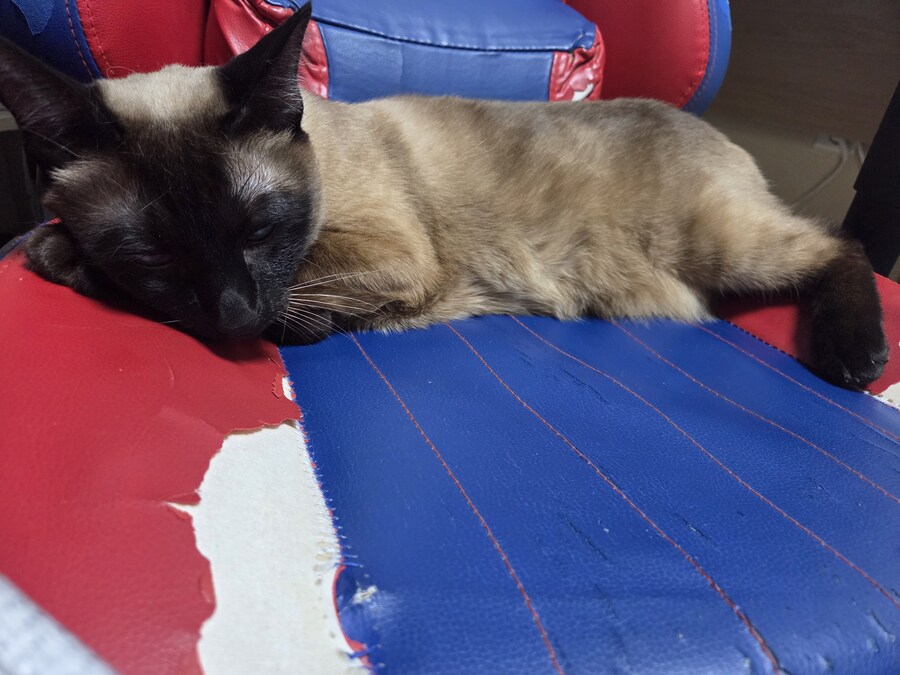 겜할때 앉는 좋은 의자를 사고 싶은데 못 사는 이유 ㅠㅠ_9.jpg