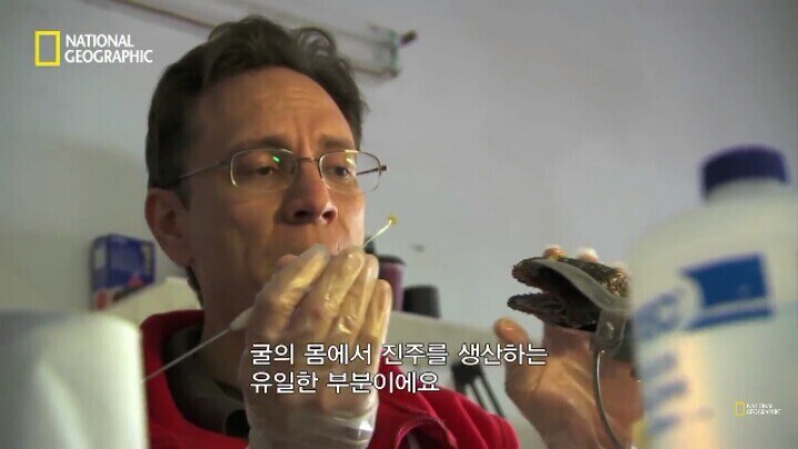 다큐)진주 만드는 방법_6.jpg