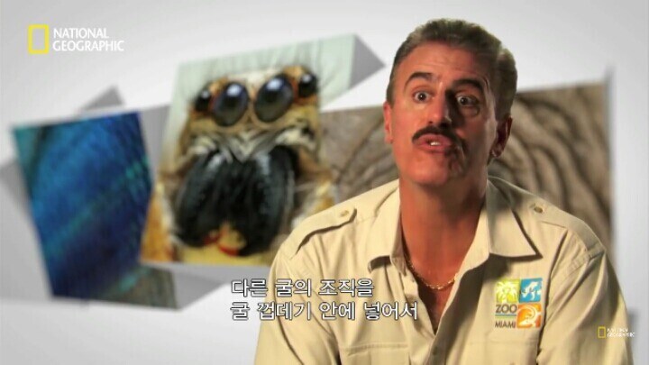 다큐)진주 만드는 방법_8.jpg