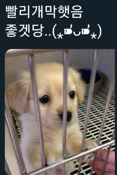 누가 봐도 우승할 생각 없어 보이는 롯데 공약_2.png