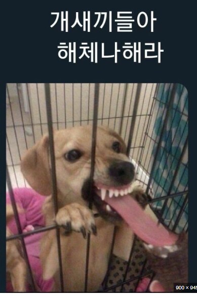 누가 봐도 우승할 생각 없어 보이는 롯데 공약_4.png