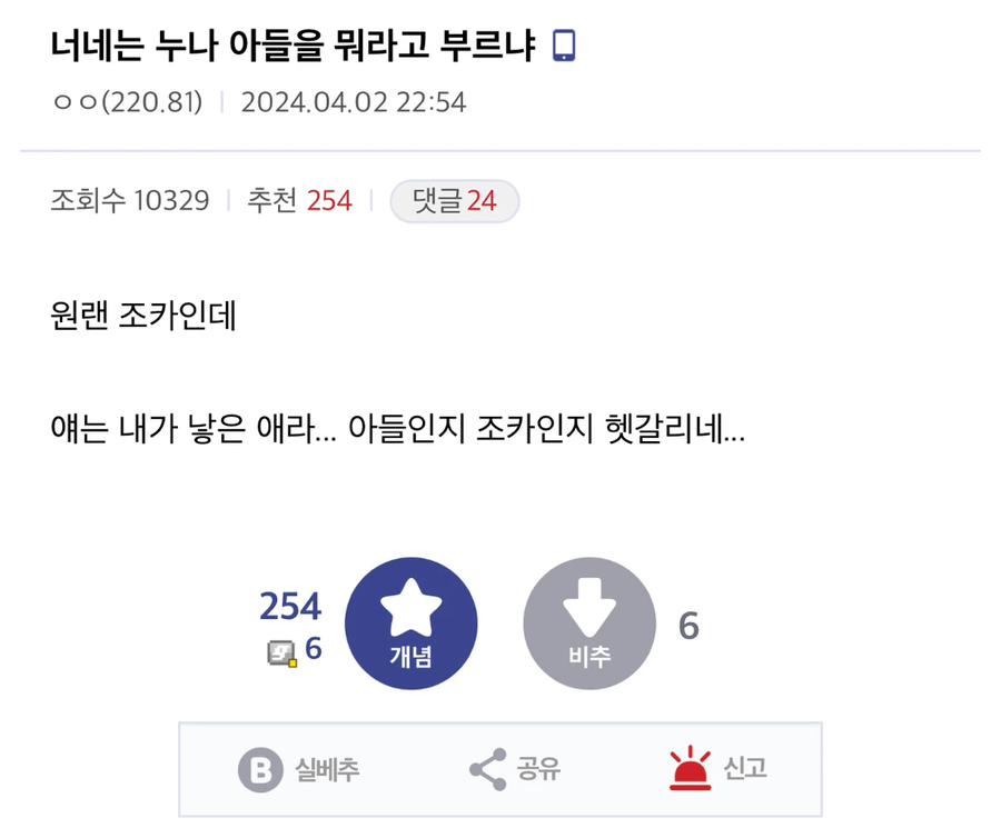 누나 아들을 뭐라 불러야하는지 궁금한 디씨인.jpg_1.webp