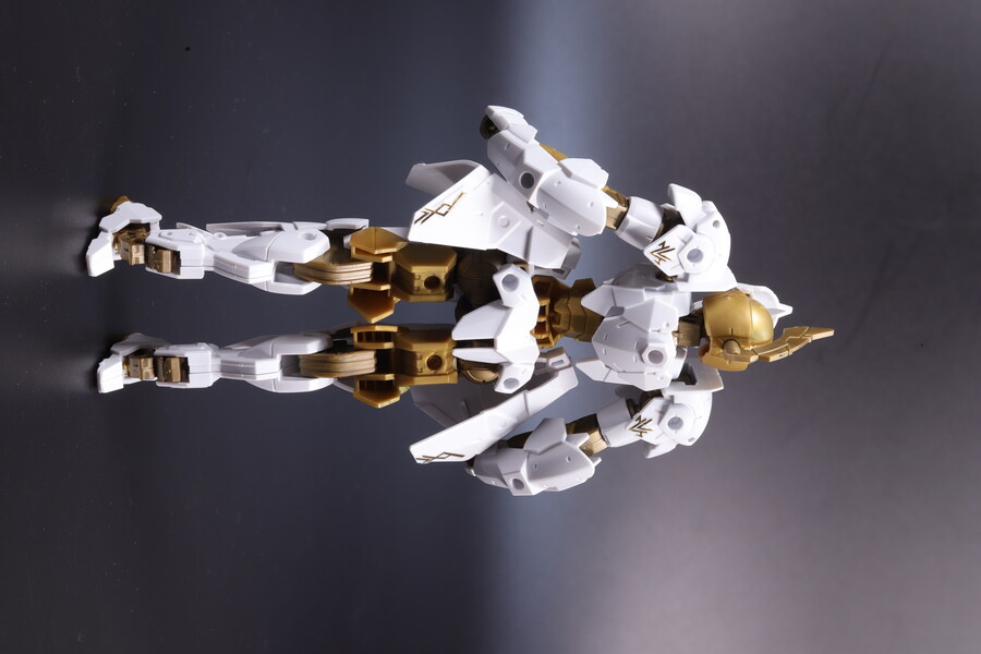 30MM] 스피나티오 로열 나이트 타입_8.jpg