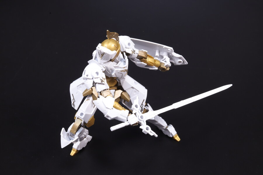 30MM] 스피나티오 로열 나이트 타입_21.jpg