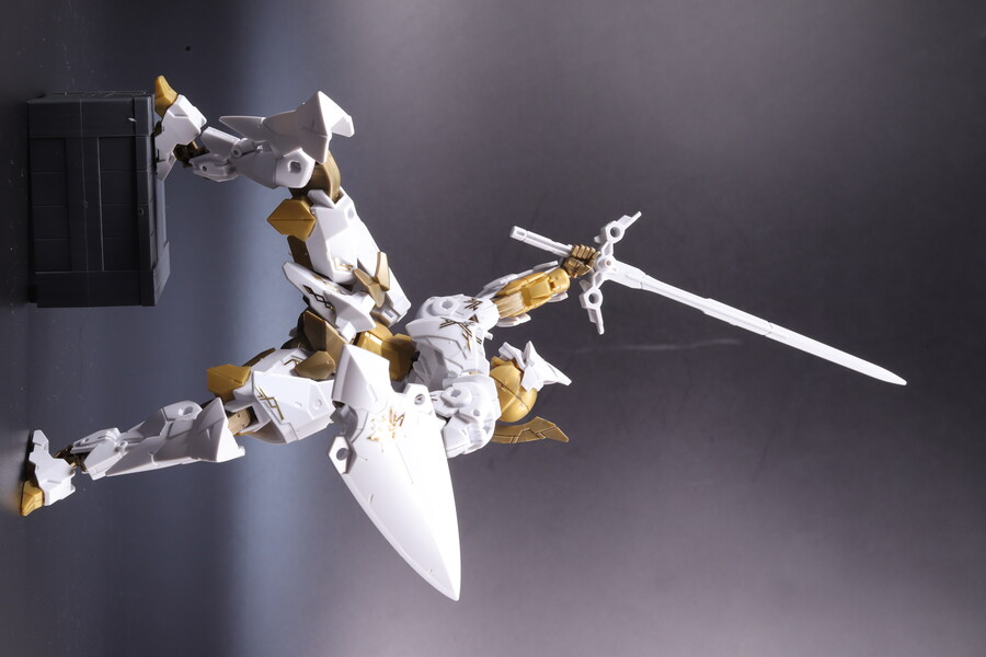 30MM] 스피나티오 로열 나이트 타입_23.jpg