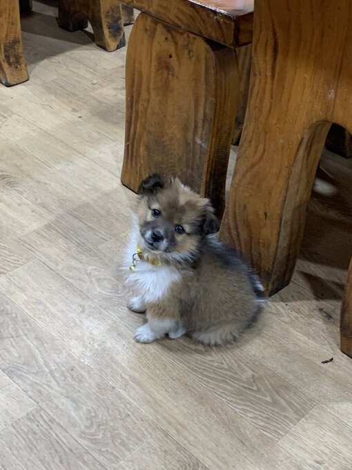 식당에서 밥먹는데 유독 소화가 안되는 이유_3.jpg