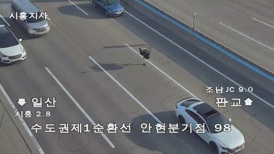 낮에 고속도로 상황_1.png