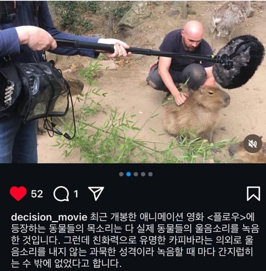 영화 촬영 때문에 동물학대한 제작진_1.png