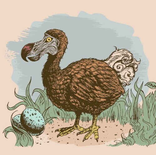 인간의 잔혹성이 멸종시킨 생물_1.png