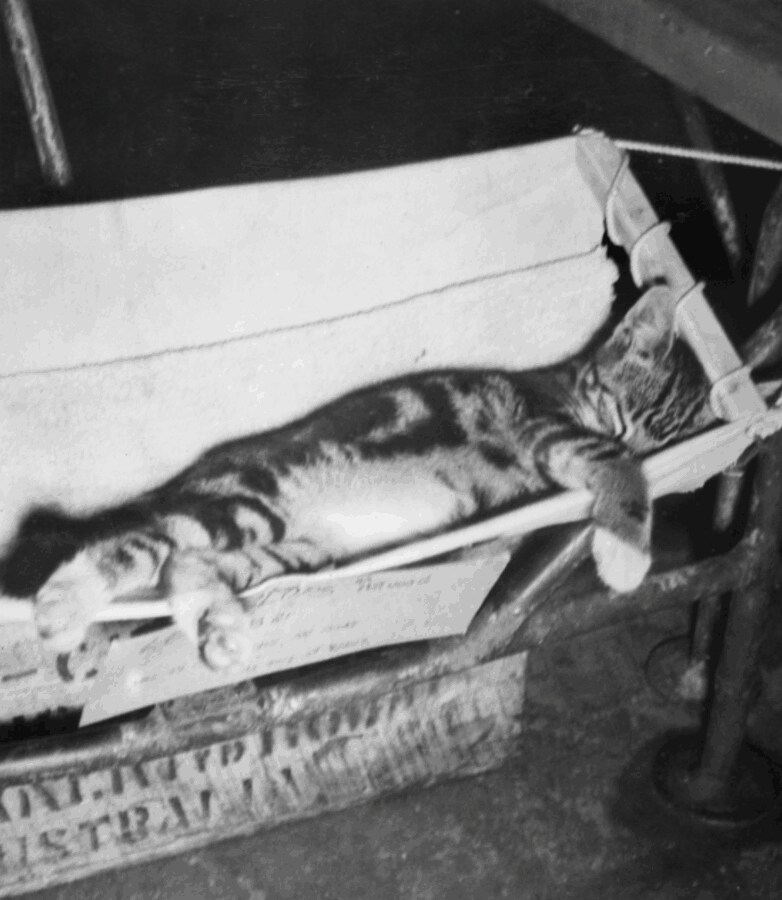 그래도 예전보다는 나아진 해군 침대_9.png