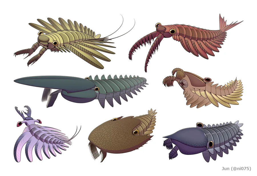 자기 외모가 지금 시대에 안맞아도 고민하지 말 것_1.webp