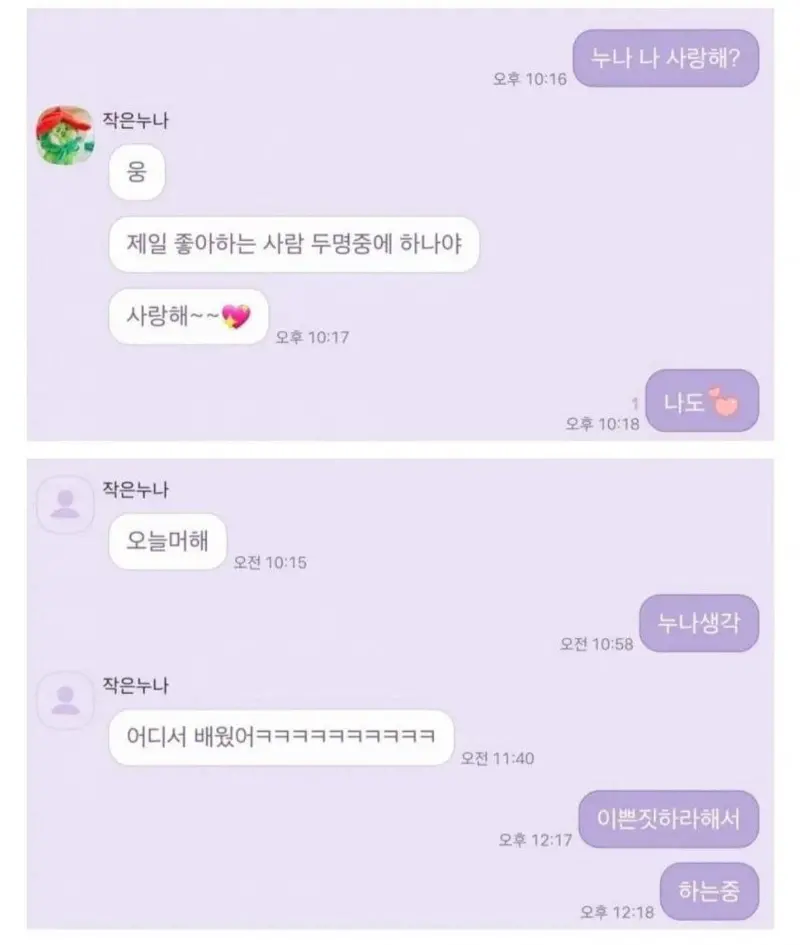 누나있는 집 특징...jpg_3.webp