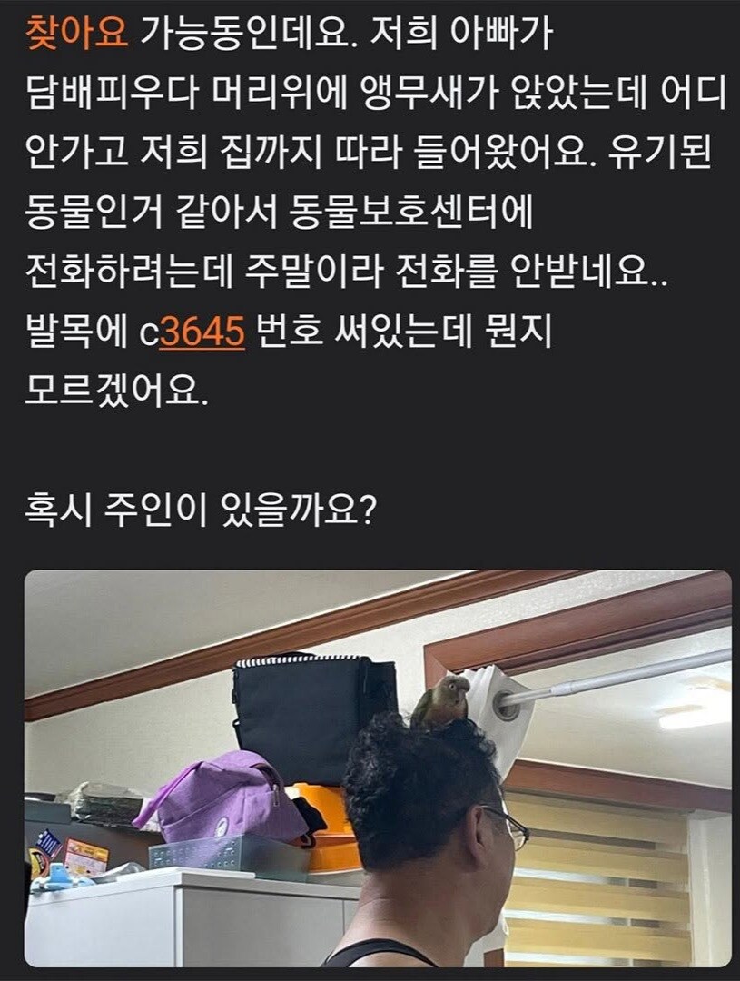 지나치게 친한 척하는 앵무새.jpg_1.jpg