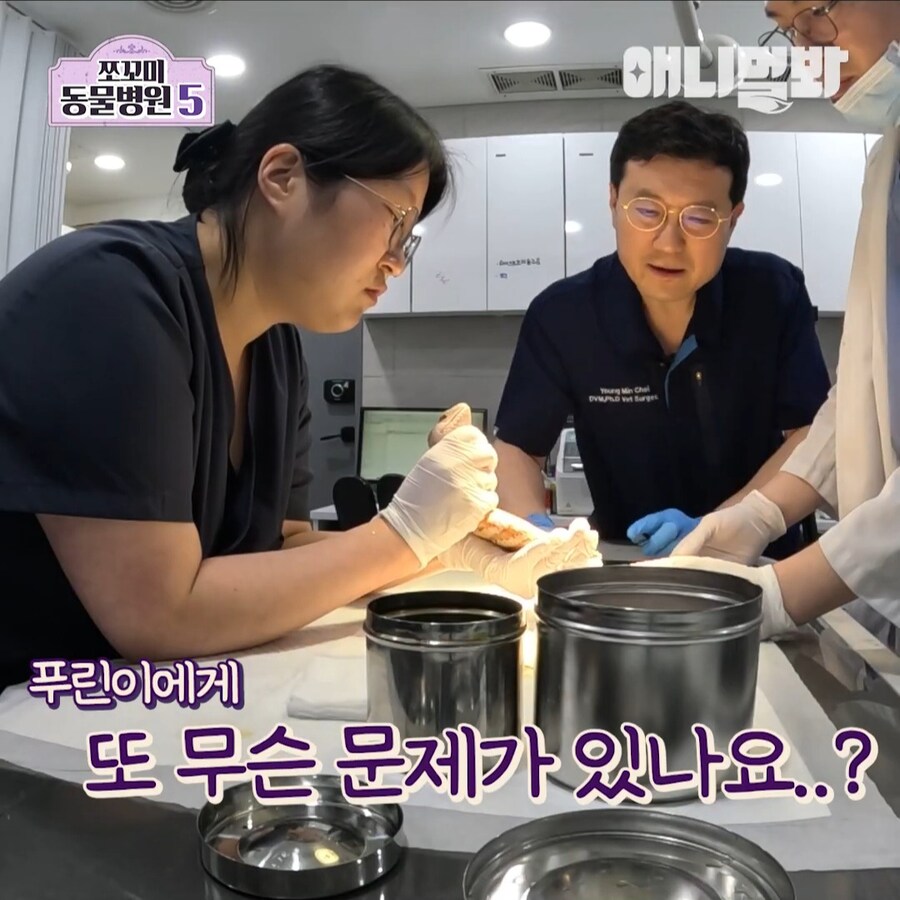 거시기에 플러그가 박혀 내원한 환자_2.jpg