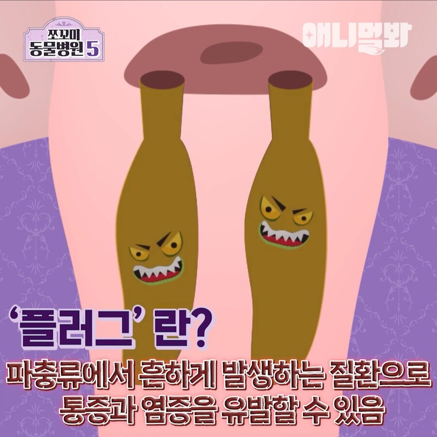 거시기에 플러그가 박혀 내원한 환자_5.jpg