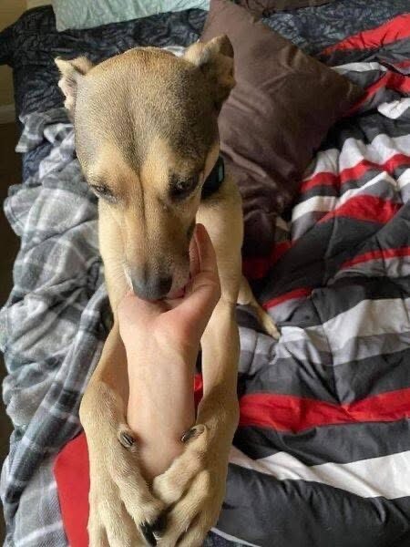 문신) 알기 전: 뭐야 이 ㅂㅅ같은 타투는?_2.jpg