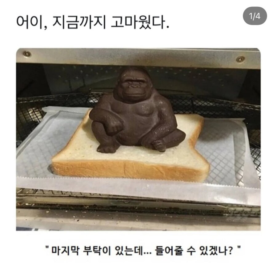 녀석은 마지막 순간까지 웃고 있었어_1.jpg