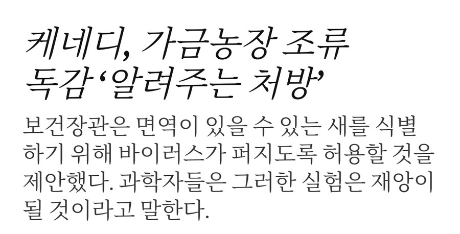 미국 계란 뉴스보는데 어이없네ㅋㅋ_3.jpg