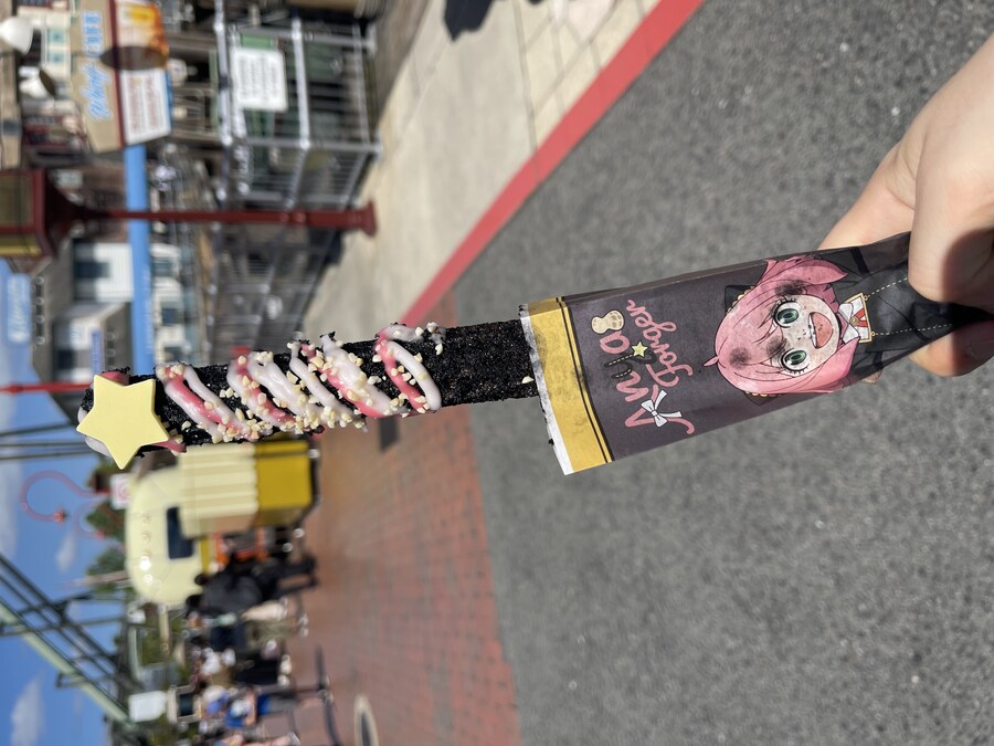 스파이 페밀리 근황. jpg_2.jpg