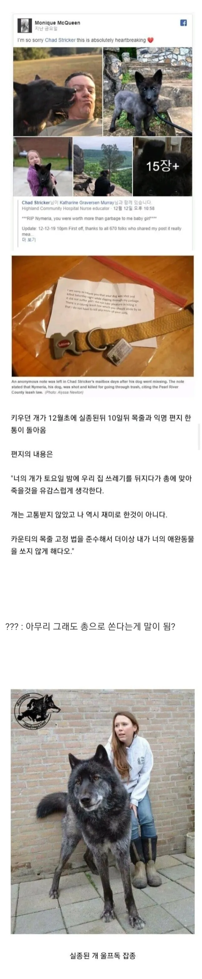 실종된 개가 총맞고 죽음.._1.webp