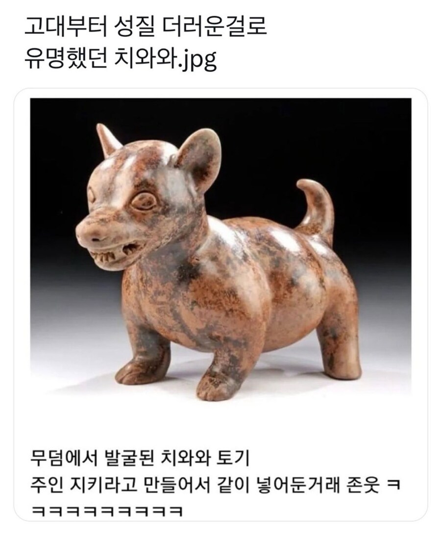 고대부터 무덤을 지키기 위해 이용된 장치_1.jpg