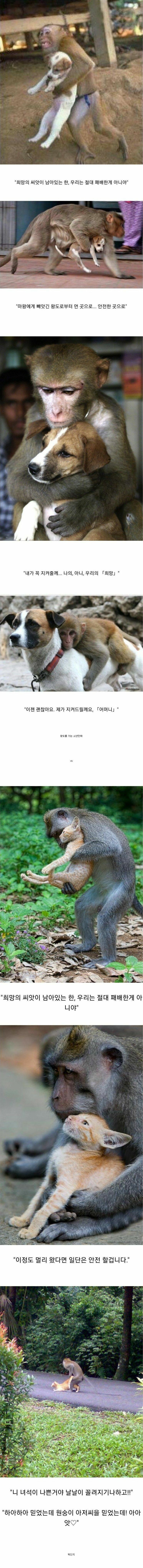 뻔하지만 언제나 먹히는 클리셰.jpg_1.jpg