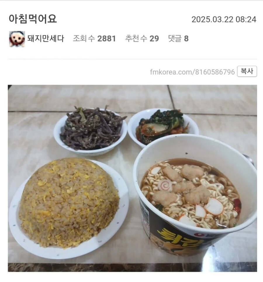 밥 인증하는 펨코인_5.jpg