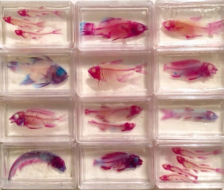 약혐, 스압) 상상력을 자극하는 짤들_35.jpg