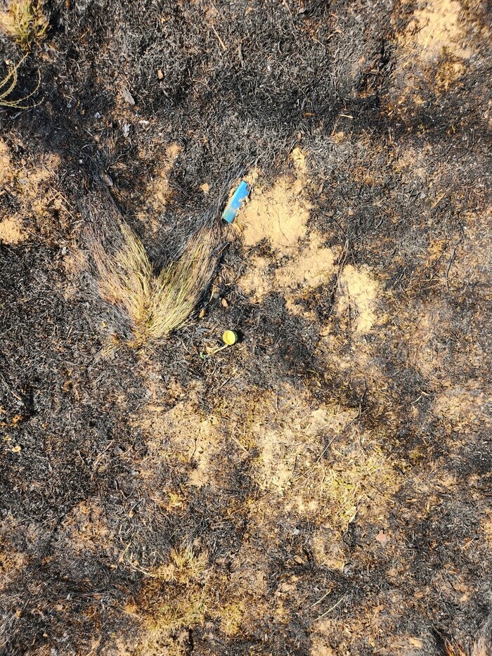 이번에 대형산불 한곳이 아니라 여러곳이엇구나?_1.png