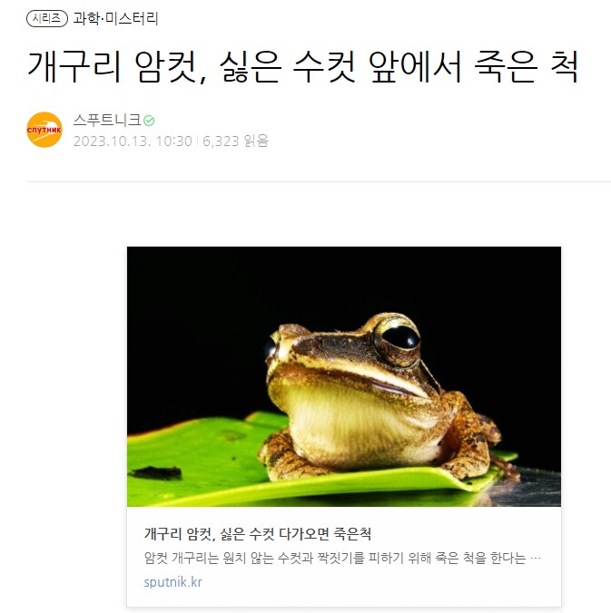 개구리 암컷, 싫은 수컷 앞에서 죽은 척.jpg_1.png