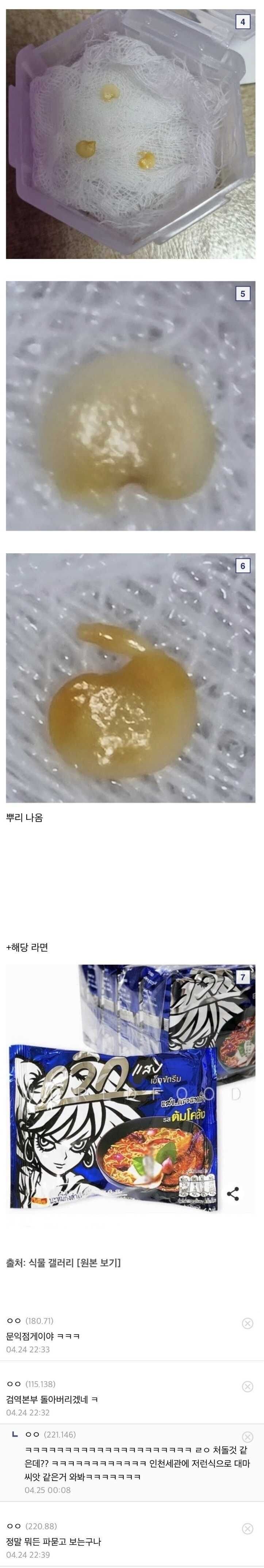 광기의 식물갤.jpg_2.jpg