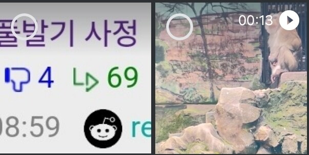 옆동네에서 받아온 원숭이 풀발기 사정 짤.gif_3.jpg