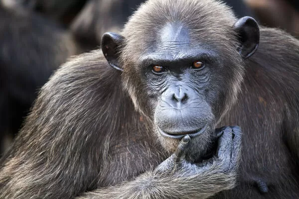 이쯤에서 다시 보는 엔비디아 10억 숏좌_5.webp