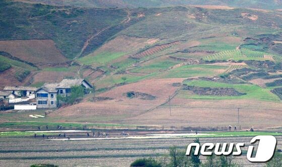 구황작물 중 옥수수는 미친거 맞는데? 이런걸 안 키운 미개조선 수듄ㅋㅋㅋ_2.jpg