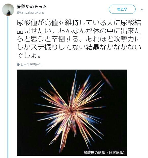 혐)통풍의 메커니즘_1.jpg