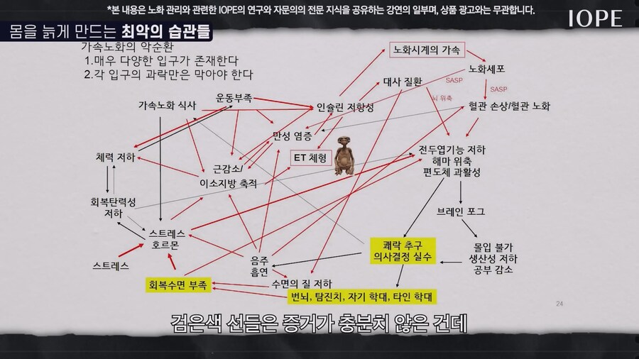 쇼닥터 아니라는 저속노화 교수 강의를 찾아봤다_45.jpg