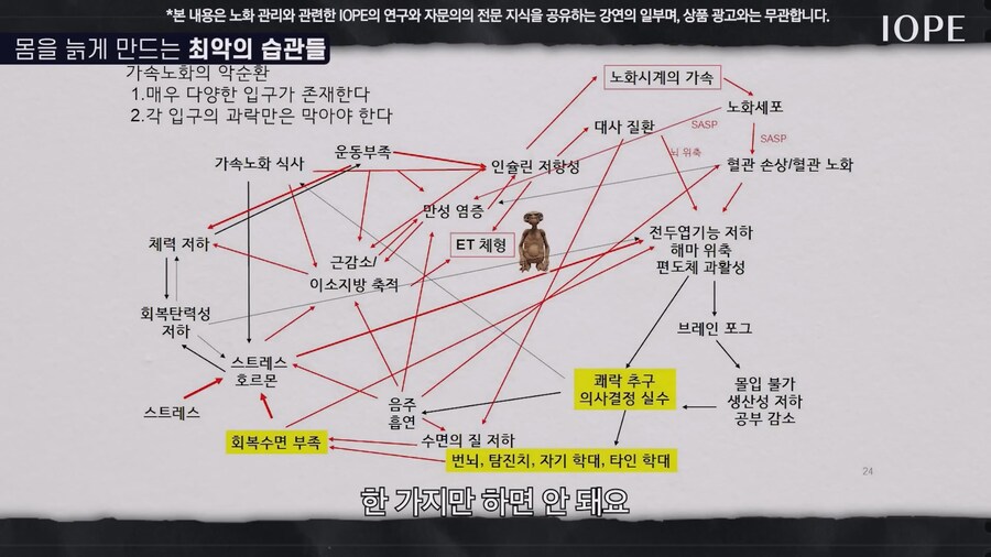 쇼닥터 아니라는 저속노화 교수 강의를 찾아봤다_47.jpg