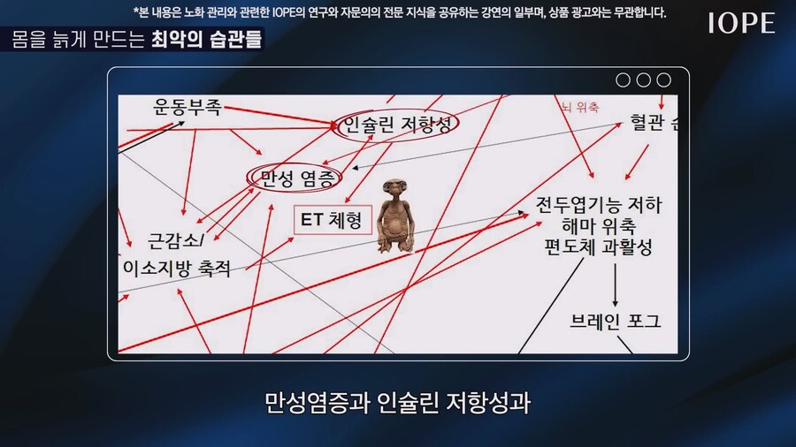 쇼닥터 아니라는 저속노화 교수 강의를 찾아봤다_63.jpg