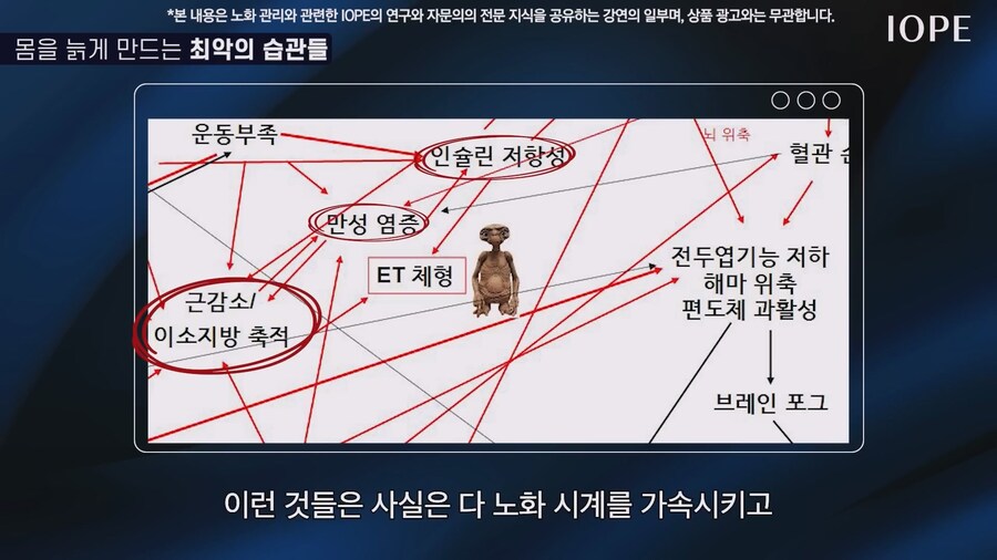 쇼닥터 아니라는 저속노화 교수 강의를 찾아봤다_65.jpg
