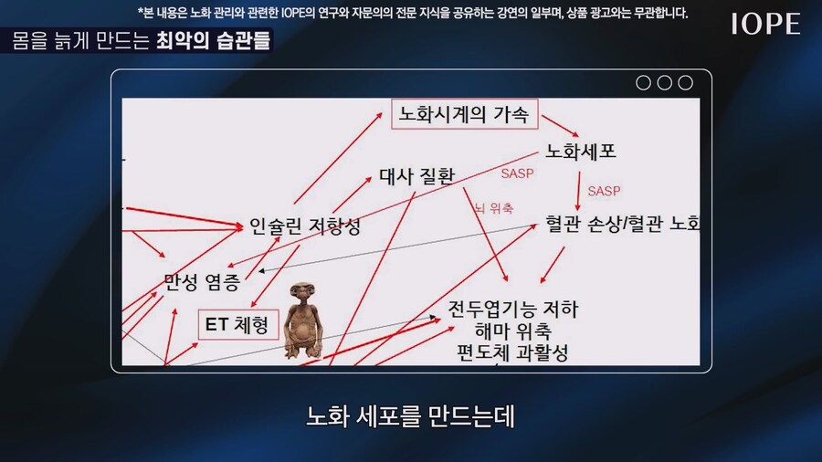 쇼닥터 아니라는 저속노화 교수 강의를 찾아봤다_66.jpg