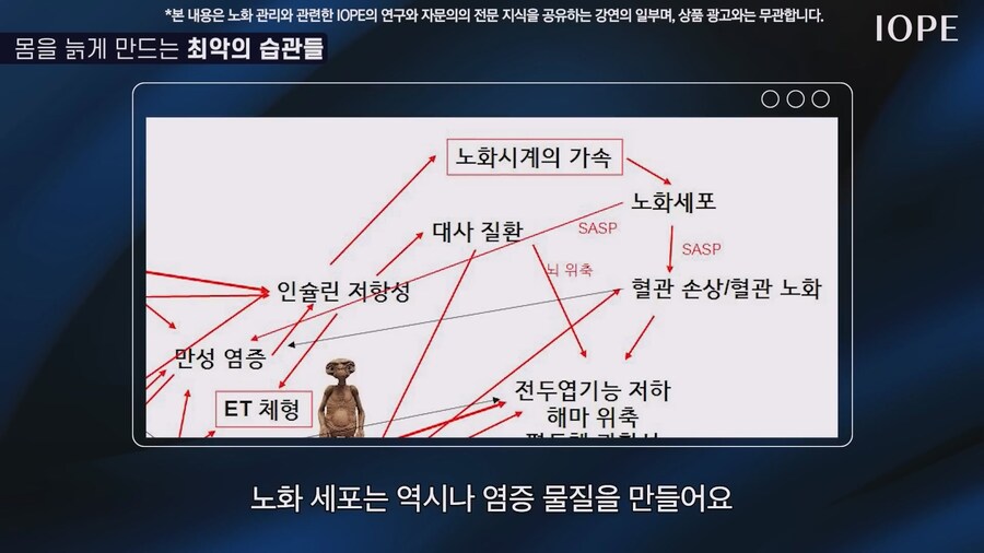쇼닥터 아니라는 저속노화 교수 강의를 찾아봤다_67.jpg