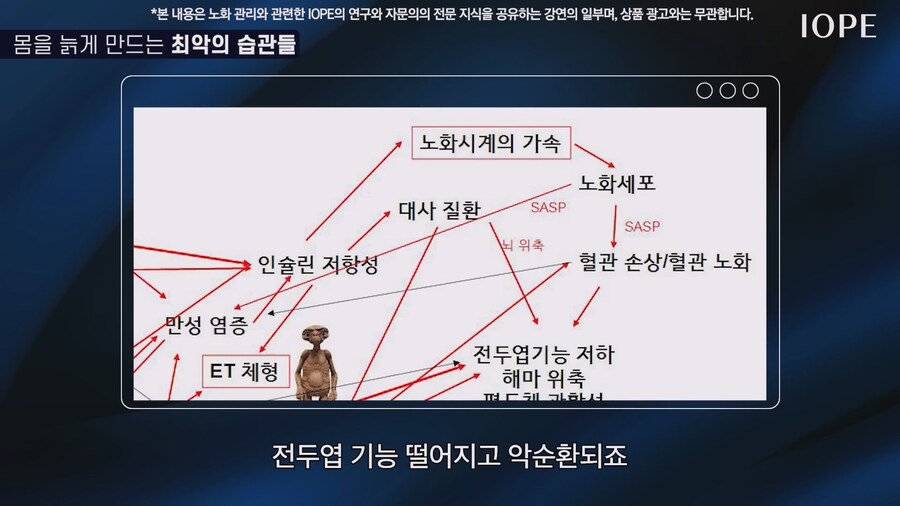 쇼닥터 아니라는 저속노화 교수 강의를 찾아봤다_72.jpg
